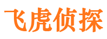 申扎私人侦探